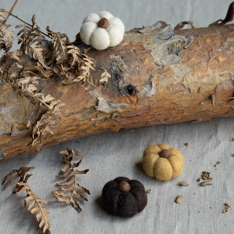 Haga Pumpa Dekoration Mörkbrun - Bild 3