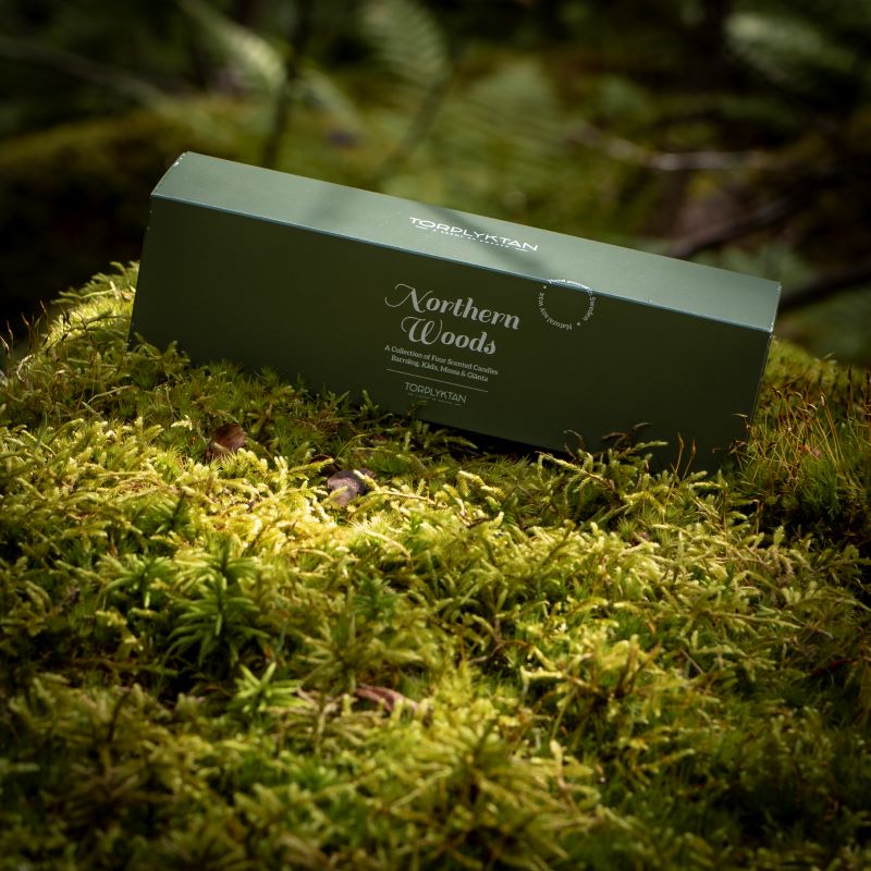 Northern Woods 4-pack Doftljus - Bild 6