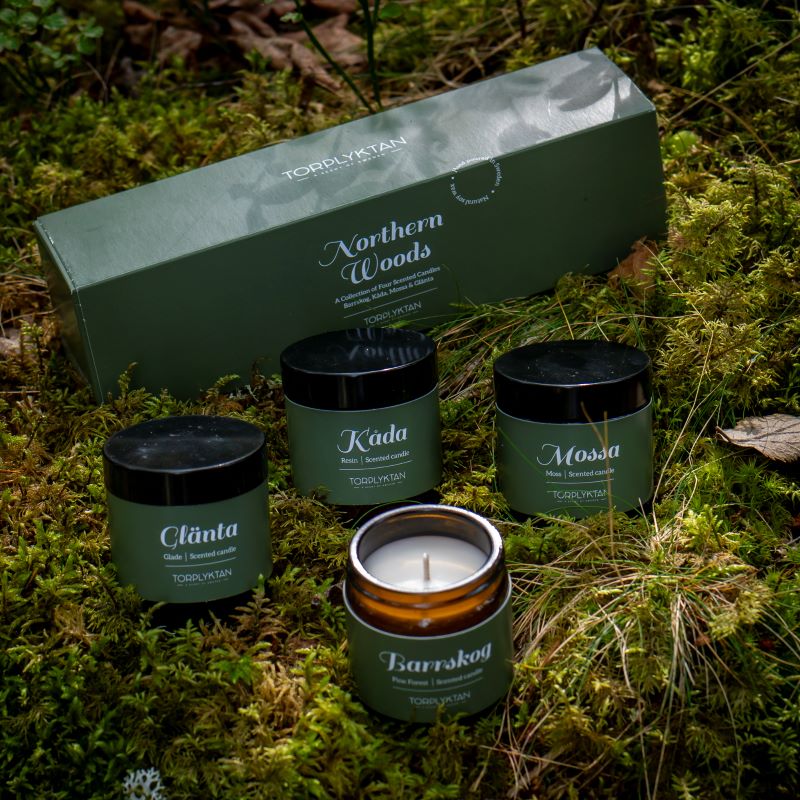 Northern Woods 4-pack Doftljus - Bild 2